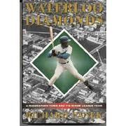 Cover art for WATERLOO DIAMONDS