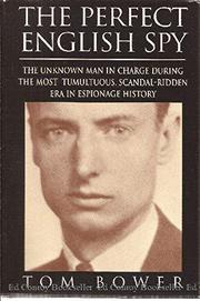 Cover art for THE PERFECT ENGLISH SPY