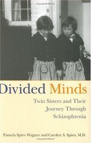 Book Cover for DIVIDED MINDS