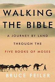 Cover art for WALKING THE BIBLE