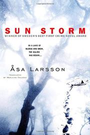 Cover art for SUN STORM