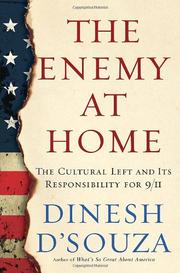 Cover art for THE ENEMY AT HOME