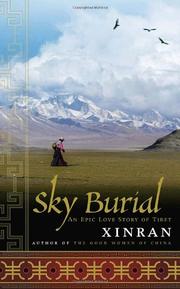 Book Cover for SKY BURIAL