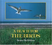 Book Cover for A BEACH FOR THE BIRDS
