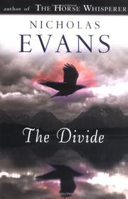 Book Cover for THE DIVIDE
