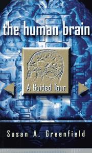 Book Cover for THE HUMAN BRAIN