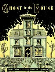 Book Cover for GHOST IN THE HOUSE