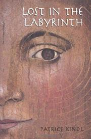 Book Cover for LOST IN THE LABYRINTH