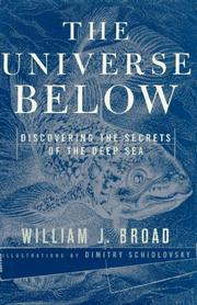 Cover art for THE UNIVERSE BELOW