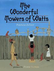 Book Cover for THE WONDERFUL TOWERS OF WATTS