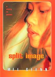 Book Cover for SPLIT IMAGE