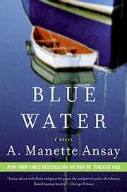 Book Cover for BLUE WATER