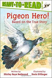 Cover art for PIGEON HERO!