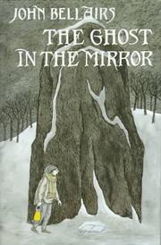 Cover art for THE GHOST IN THE MIRROR
