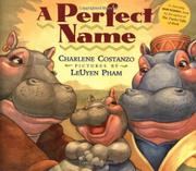Cover art for A PERFECT NAME