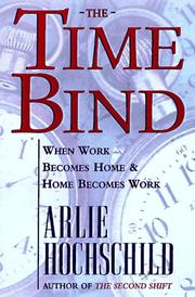 Book Cover for THE TIME BIND
