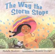 Book Cover for THE WAY THE STORM STOPS