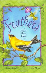 Book Cover for FEATHERS
