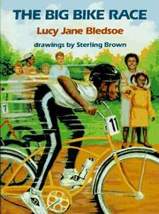 Book Cover for THE BIG BIKE RACE