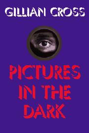 Cover art for PICTURES IN THE DARK