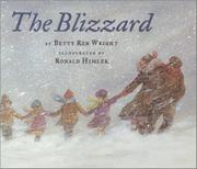 Book Cover for THE BLIZZARD