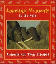 Cover art for AMUSING MOMENTS IN THE WILD
