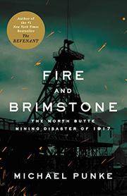 Book Cover for FIRE AND BRIMSTONE