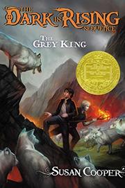 Book Cover for THE GREY KING