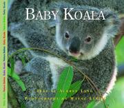 Book Cover for BABY KOALA