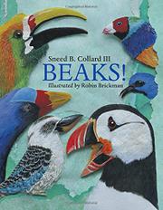 Book Cover for BEAKS!