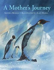 Cover art for A MOTHER’S JOURNEY