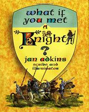 Book Cover for WHAT IF YOU MET A KNIGHT?
