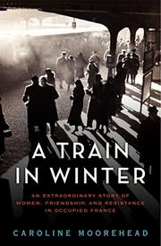 Book Cover for A TRAIN IN WINTER