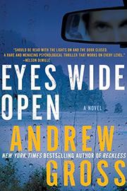 Cover art for EYES WIDE OPEN