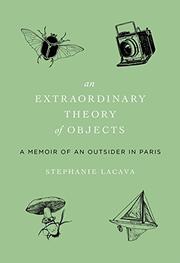 Book Cover for AN EXTRAORDINARY THEORY OF OBJECTS
