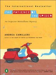 Book Cover for THE PATIENCE OF THE SPIDER