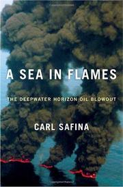 Cover art for A SEA IN FLAMES