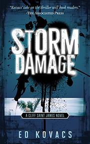 Book Cover for STORM DAMAGE