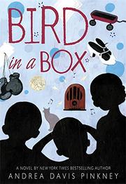 Cover art for BIRD IN A BOX