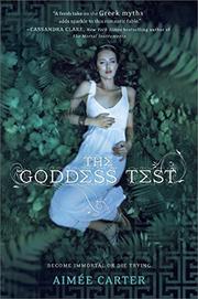 Book Cover for THE GODDESS TEST