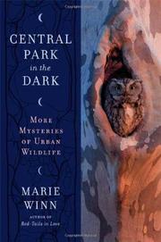 Book Cover for CENTRAL PARK IN THE DARK