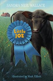 Cover art for LITTLE JOE