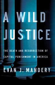 A WILD JUSTICE by Evan Mandery