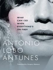 Cover art for WHAT CAN I DO WHEN EVERYTHING’S ON FIRE?