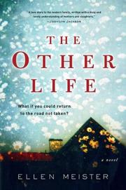 Book Cover for THE OTHER LIFE