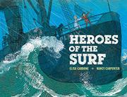 Book Cover for HEROES OF THE SURF