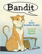 Book Cover for BANDIT’S SURPRISE