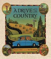 Book Cover for A DRIVE IN THE COUNTRY