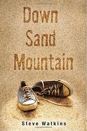 Book Cover for DOWN SAND MOUNTAIN