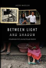 Book Cover for BETWEEN LIGHT AND SHADOW